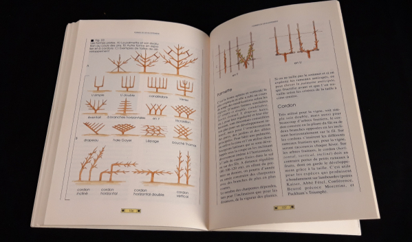 Livre d'occasion / Guide de la taille / n°7088