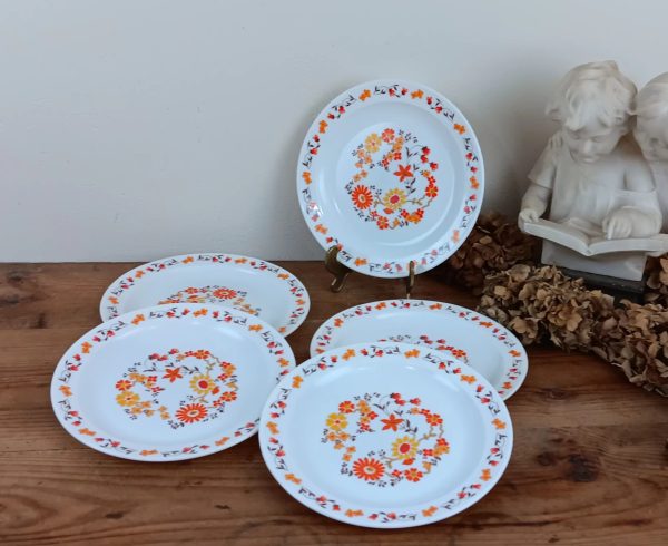 Lot de 5 assiettes vintages Arcopal orange n°10262