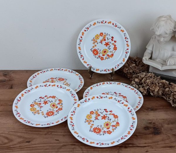 Lot de 5 assiettes vintages Arcopal orange n°10262