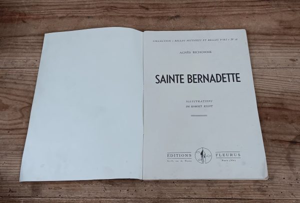 Histoire de Bernadette de Soubirous n°10485