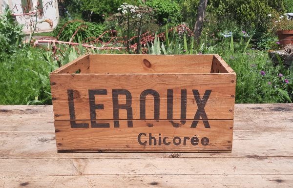 Ancienne caisse en bois Chicorée Leroux n°11024
