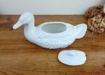 Grand canard vintage / Barbotine / Bassano / Italy / n°11078