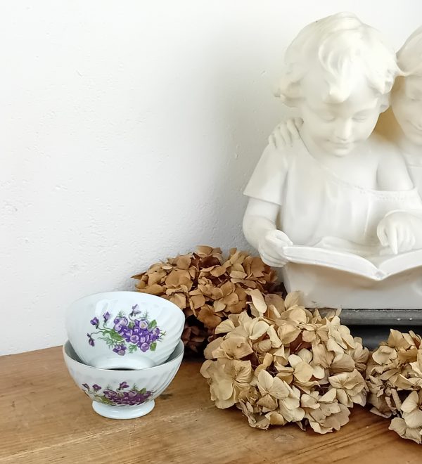 Lot de 2 bols vintages en porcelaine / Violette / n°11127