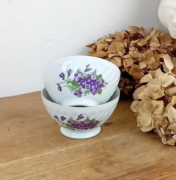 Lot de 2 bols vintages en porcelaine / Violette / n°11127