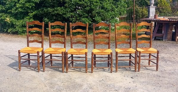 Lot de 6 chaises paillées n°11134