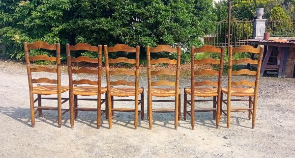 Lot de 6 chaises paillées n°11134