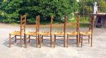 Lot de 6 chaises paillées n°11134