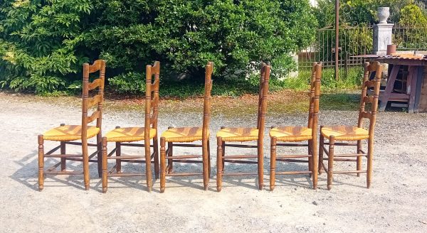Lot de 6 chaises paillées n°11134