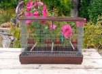 Cage a oiseaux n°11225