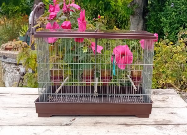 Cage a oiseaux n°11225