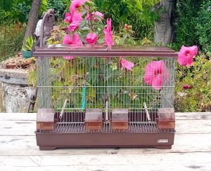 Cage a oiseaux n°11225