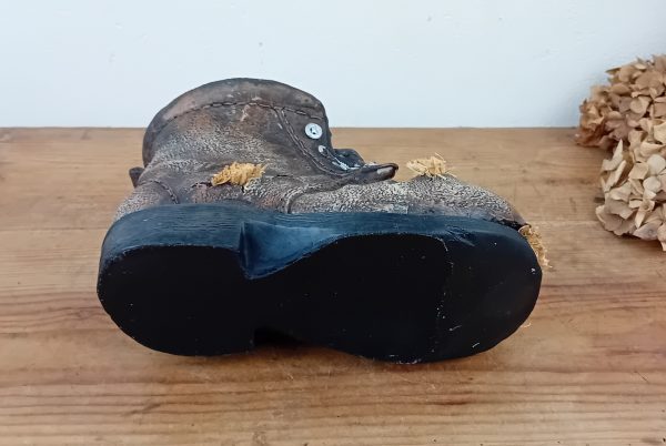 Jardinière / Pot / chaussure / rats n°11426