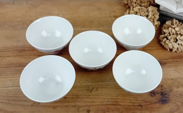 Lot de 5 bols vintages n°11433