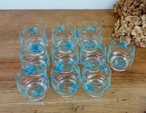 Lot de 10 verres vintages Myosotis n°11437