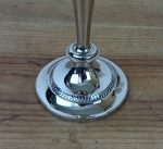 Chandelier / 3 bras de lumière / n°11519