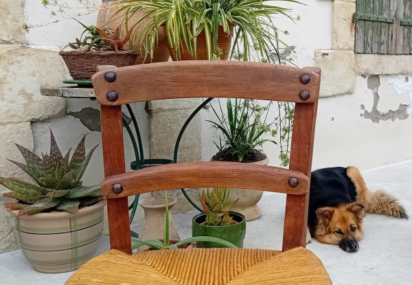 Ancienne chaise haute paillée n°11566