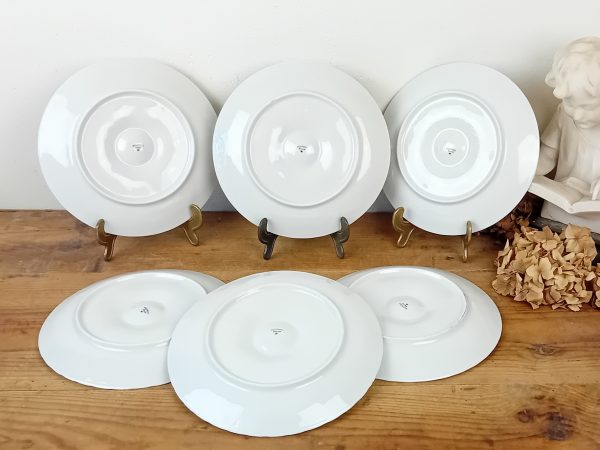 Lot de 6 anciennes assiettes a huitres Pillivuyt n°11585