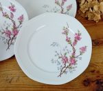 Lot de 6 assiettes a dessert en porcelaine n°11599