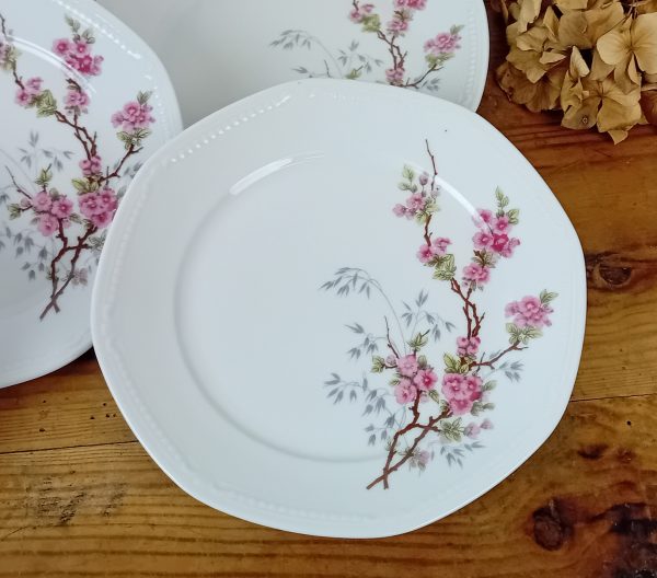 Lot de 6 assiettes a dessert en porcelaine n°11599