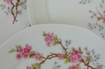 Lot de 6 assiettes a dessert en porcelaine n°11599