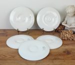 Lot de 5 assiettes a huitres vintages n°11604
