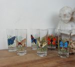 Lot de 6 verres vintages / Papillons / n°11673