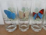 Lot de 6 verres vintages / Papillons / n°11673