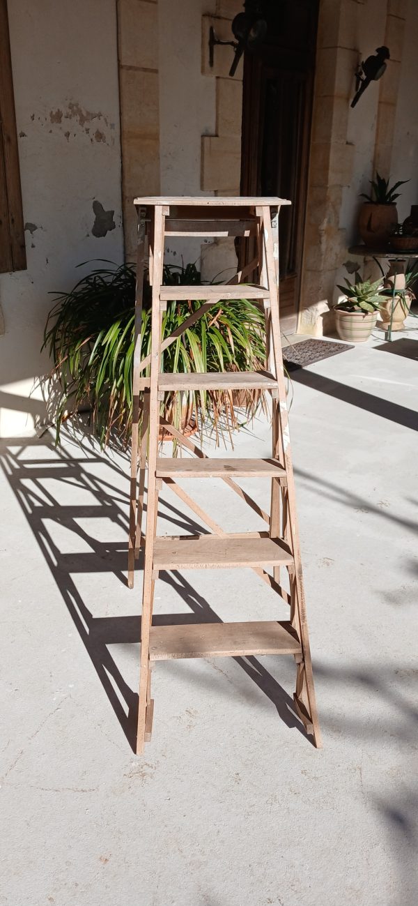 Ancienne échelle de bibliothèque n°11939