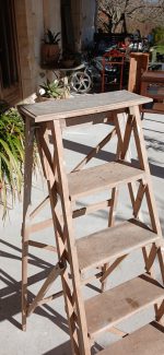 Ancienne échelle de bibliothèque n°11939