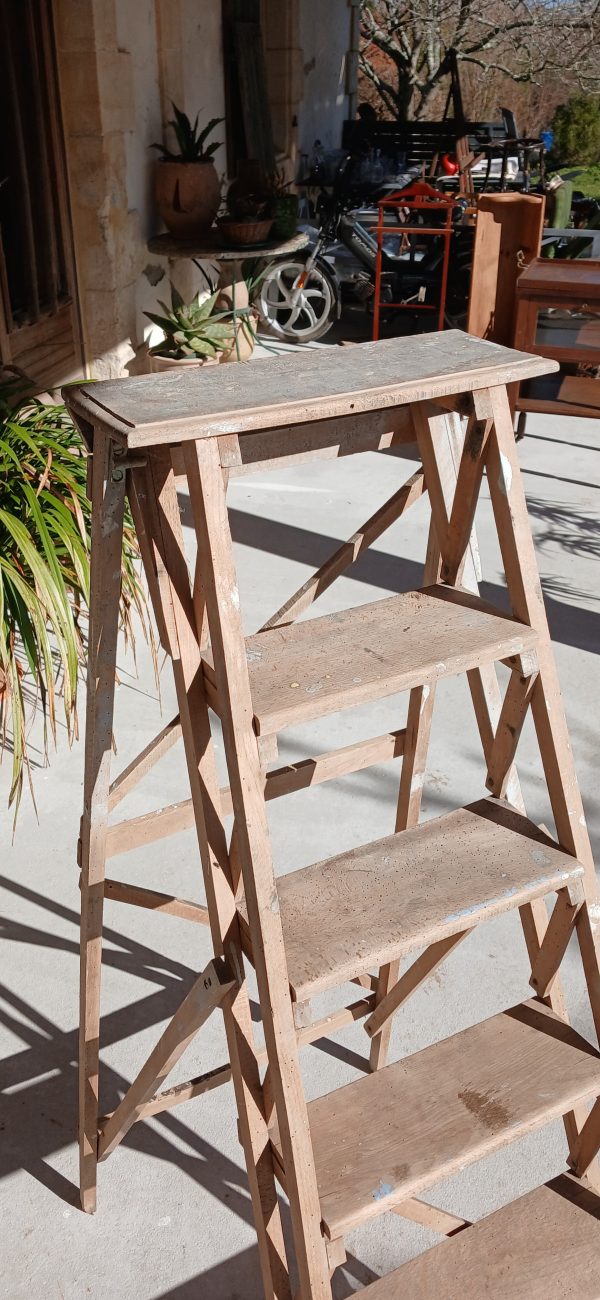 Ancienne échelle de bibliothèque n°11939