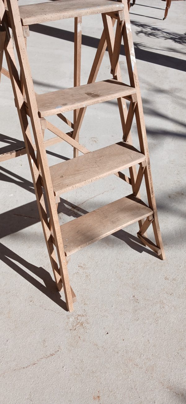 Ancienne échelle de bibliothèque n°11939