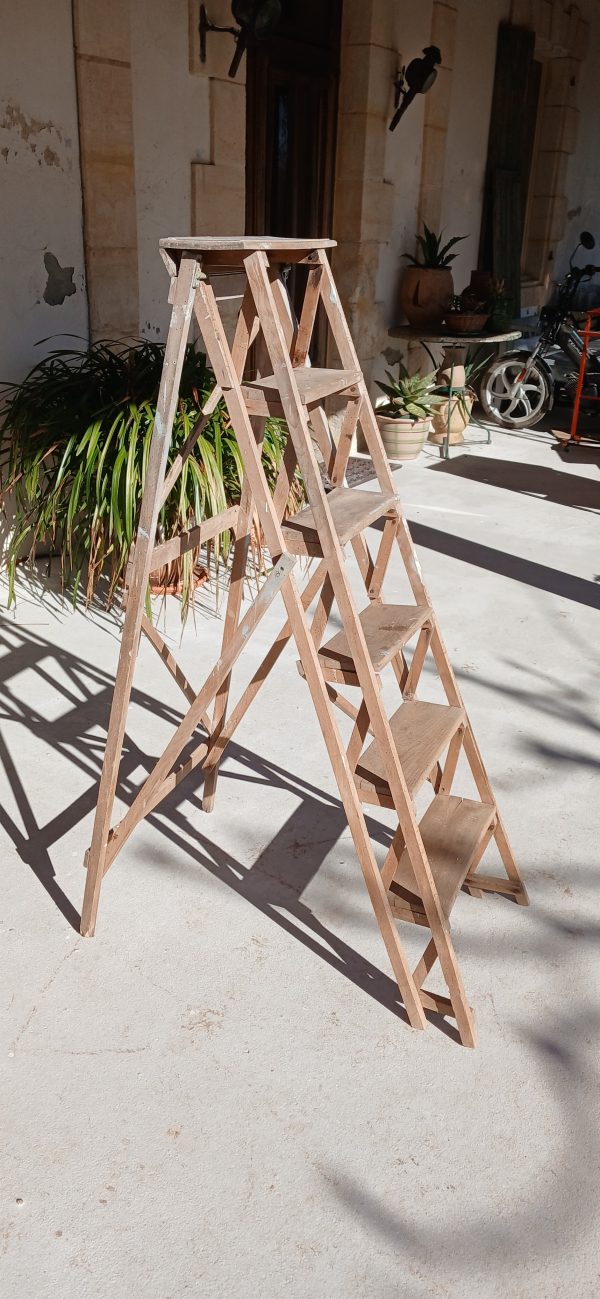 Ancienne échelle de bibliothèque n°11939