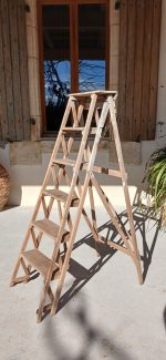 Ancienne échelle de bibliothèque n°11939