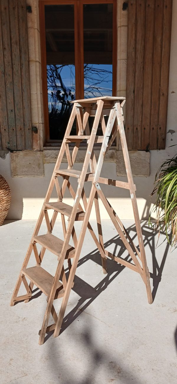 Ancienne échelle de bibliothèque n°11939