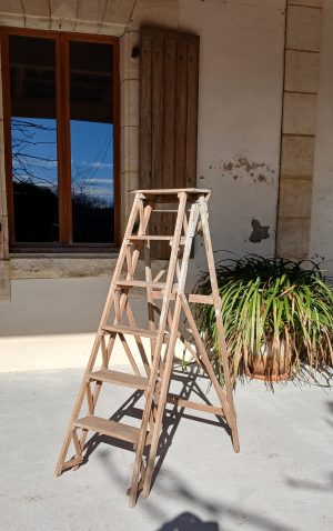 Ancienne échelle de bibliothèque n°11939