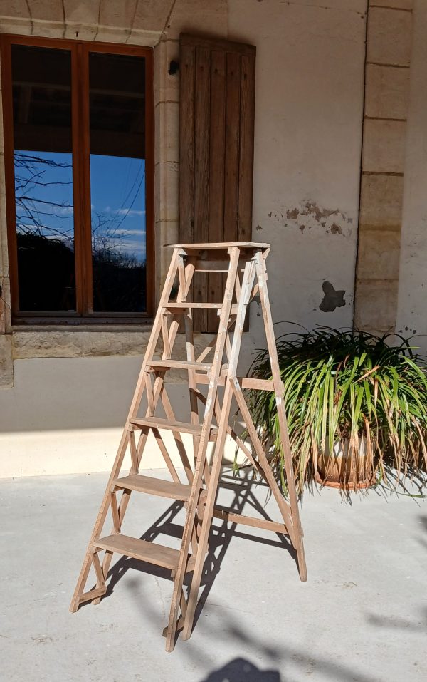 Ancienne échelle de bibliothèque n°11939