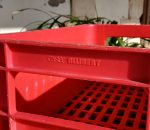 caisse vintage Kronenbourg n°11986