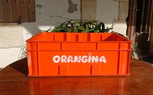 Caisse vintage Orangina n°11987