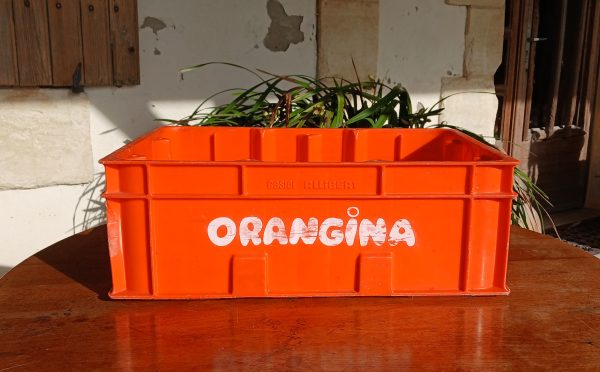 Caisse vintage Orangina n°11987