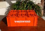 Caisse vintage Orangina n°11987