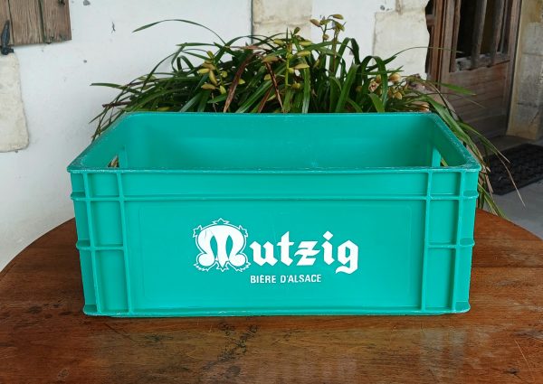 caisse vintage Mutzig Bière d'Alsace n°12014