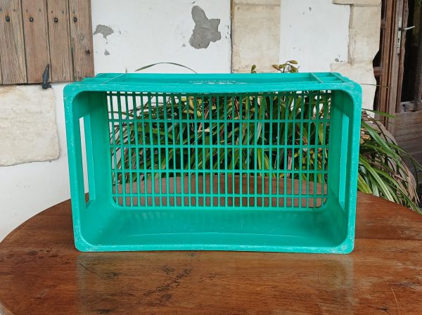 caisse vintage Mutzig Bière d'Alsace n°12014