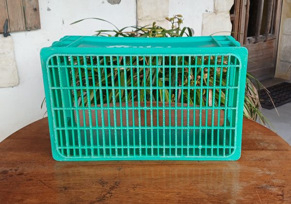 caisse vintage Mutzig Bière d'Alsace n°12014